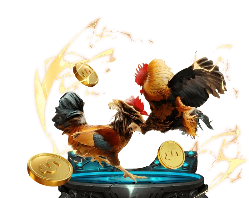 Lưu ý quan trọng khi tham gia cá cược trực tuyến